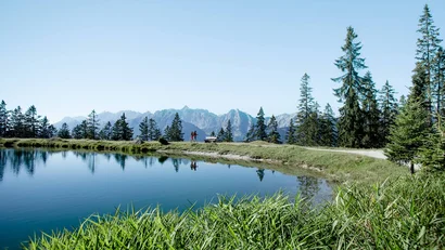 Hikers by a lake with mountain and forest view under clear sky