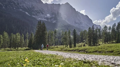 Two cyclists on a mountain trail on a sunny day