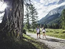 Two hikers on a mountain trail on a sunny day