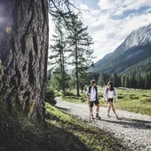 Two hikers on a mountain trail on a sunny day