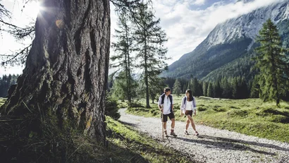 Two hikers on a mountain trail on a sunny day